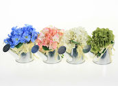 HORTENSIA SINKKIKANNUSSA 20CM