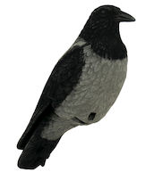 HOUKUTUSLINTU VARIS