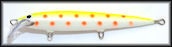 HK-VARMA-TAIMEN 100MM T23